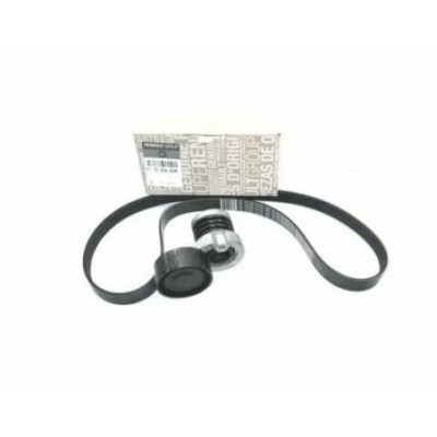 117203804R (AKSESUAR KAYIŞ SETİ) (MARKA: MAIS) (OEM:117203804R)