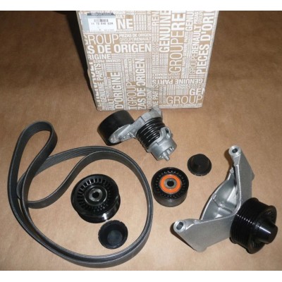 117204083R (AKSESUAR KAYIŞ KİTİ) (MARKA: MAIS) (OEM:117204083R)