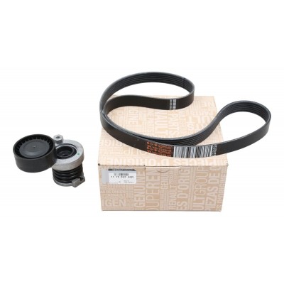 117204246R (AKSESUAR KAYIŞ KİTİ) (MARKA: MAIS) (OEM:117205825R)