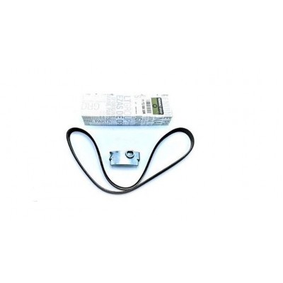 117205930R (AKSESUAR KAYIŞI) (MARKA: MAIS) (OEM:117205930R)