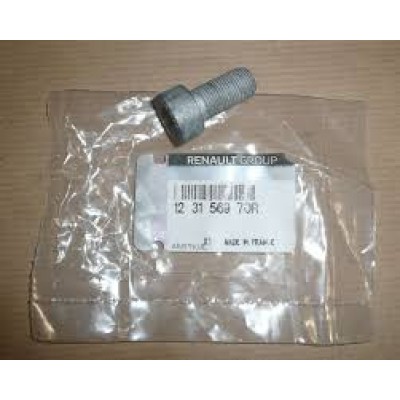 123156970R (VOLNT CİVATASI) (MARKA: MAIS) (OEM:123156970R)