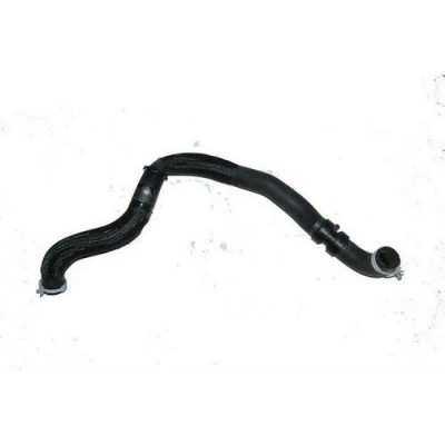 215034960R (RAD.ÇIKIŞ HORTUMU) (MARKA: MAIS) (OEM:215034960R)