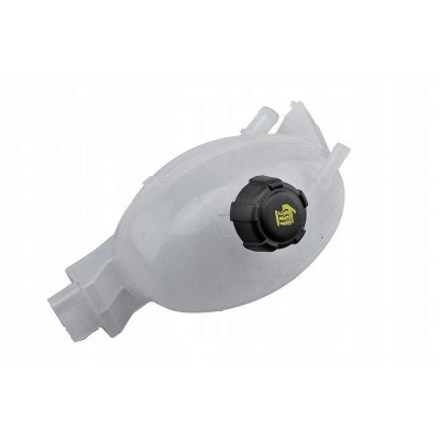 217100015R (GENLEŞME KAVANOZU (KAPAKLI) MASTER III (RADYATÖR EK SU DEPOSU)) (MARKA: MAIS) (OEM:217100015R)