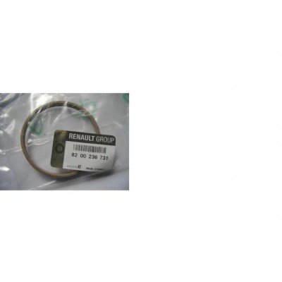 8200236731 (ENJ.KELEB.KUTU CONTASI) (MARKA: MAIS) (OEM:8200236731)