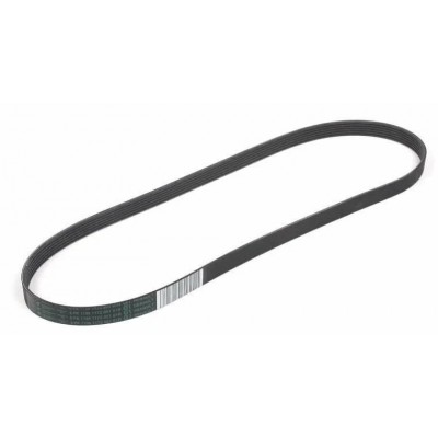 8200830192 (KANALLI KAYIŞ CLIO II 98=> KNG 97=> TWNG 96=> 1.2-1.2 16V) (MARKA: MAIS) (OEM:8200830192)