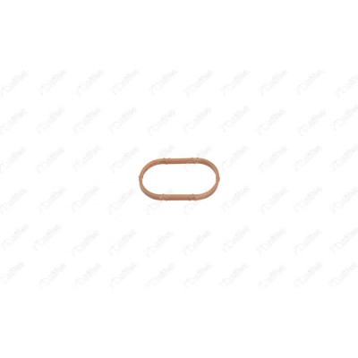 NIFEA-11025 (EMME MANIFOLD CONTASI MEGANE CLIO LAGUNA LOGAN 1.4) (MARKA: NIFEA) (OEM:NIFEA-11025)