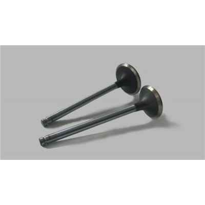 SUS-VT-40663-40664 (SUBAP TAKIMI TRAFIC III 2.0 M9R) (MARKA: SUPSAN) (OEM:SUS-VT-40663-40664)