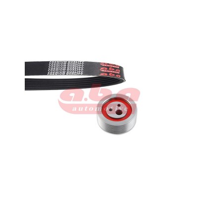 ABA-6PK1113 (6PK1113 KANALLI KAYIS PARTNER CITROEN VOLKWAGEN HONDA) (MARKA: Aba Rulman) (OEM:ABA-6PK1113)