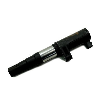 DEL-CE20014-12B1 (ATEŞLEME BOBİNİ (KALEM BOBİN) RENAULT MEGANE I-II-II KANGOO 04> LAGUNA II-III CLIO II-III SCENIC II-) (MARKA: Delphi) (OEM:224332597R)