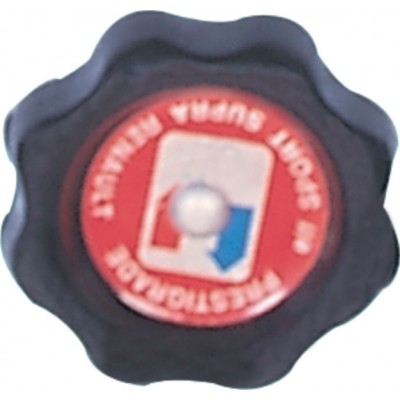 KAYA-KR262 (MOTOR YAG KAPAGI R.12) (MARKA: Kaya Plastik) (OEM:7702131413)