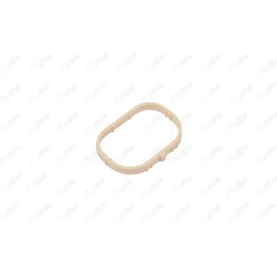 NIFEA-11631 (EMME MANIFOLD CONTASI CLIO III 1.6 16V GT (09-15)) (MARKA: NIFEA) (OEM:8200275057)