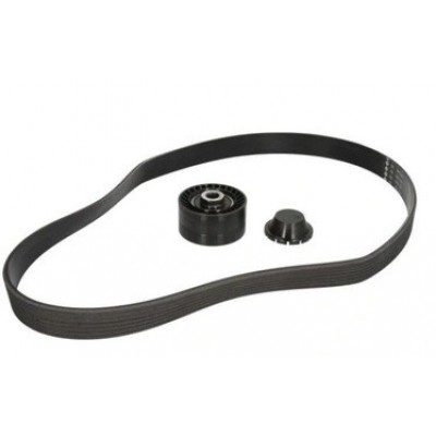 8660004387 (MOTRİO AKSESUAR KAYIŞ KİTİ (117200033R)) (MARKA: MOTRIO) (OEM:7701478934)