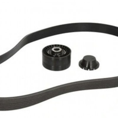 8660004387 (MOTRİO AKSESUAR KAYIŞ KİTİ (117200033R)) (MARKA: MOTRIO) (OEM:7701478934)