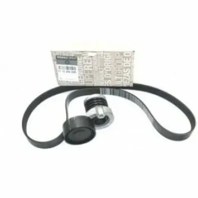 117203804R (AKSESUAR KAYIŞ SETİ) (MARKA: MAIS) (OEM:117203804R)