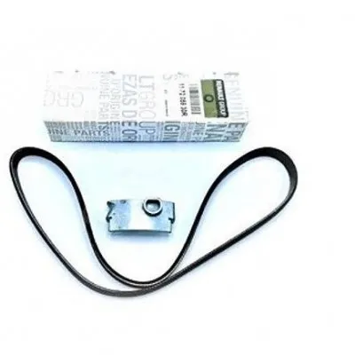 117205930R (AKSESUAR KAYIŞI) (MARKA: MAIS) (OEM:117205930R)