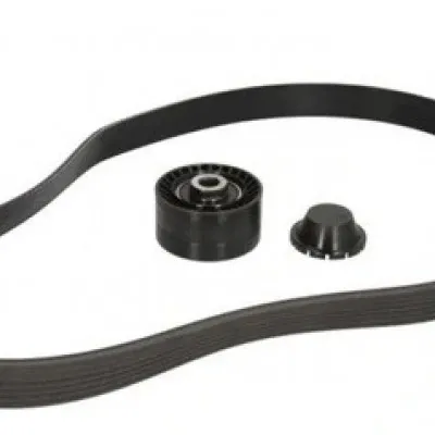 8660004387 (MOTRİO AKSESUAR KAYIŞ KİTİ (117200033R)) (MARKA: MOTRIO) (OEM:8660004387)