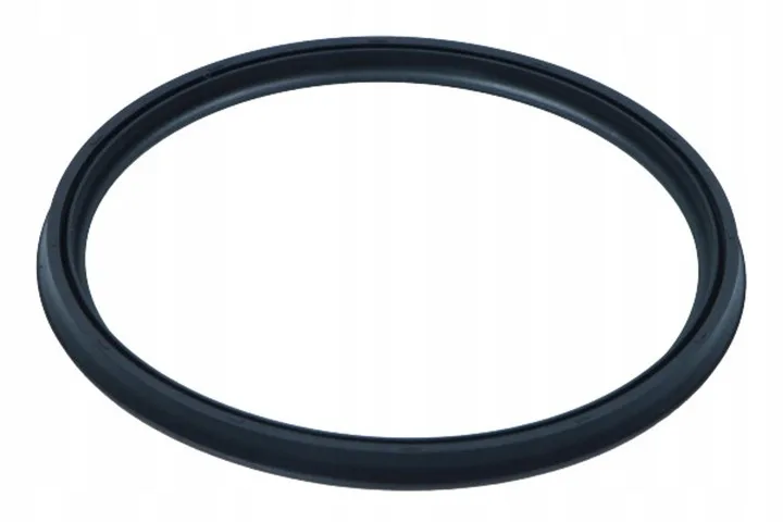 7701071288 (FİLTRE BOĞAZ CONTASI) (MARKA: MAIS) (OEM:7701071288)