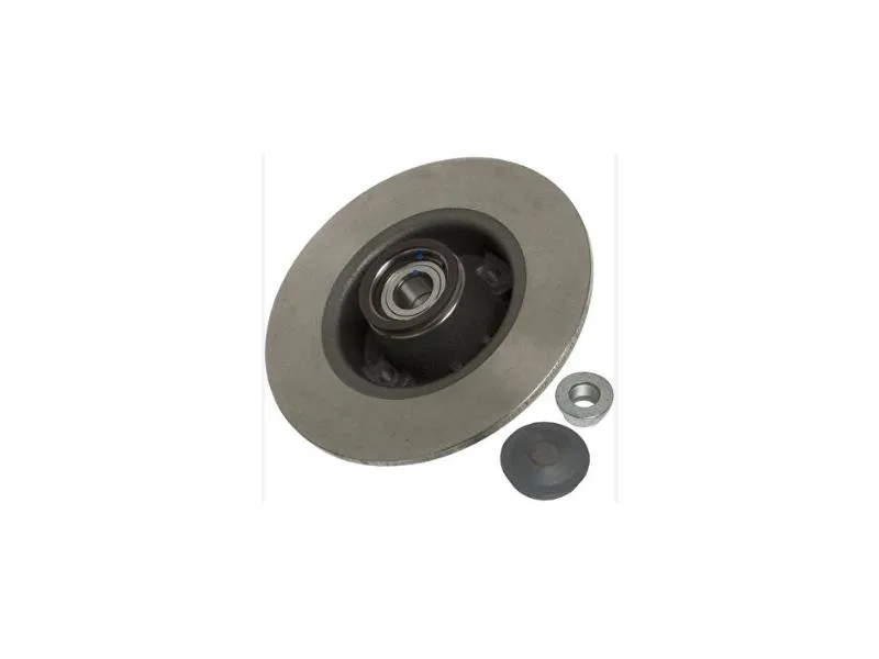 DEL-BG9028RS (FREN DISKI ARKA DELIKSIZ MEGANE II 02=> MODUS 04=> CLIO III 05=> RULMANLI ) (MARKA: DELPHİ) (OEM:7701207823)