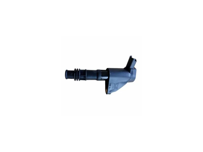DEL-GN10240-12B1 (ATESLEME BOBINI P407 P607 C5 C6 04=> CLIO II LAGUNA II) (MARKA: DELPHİ) (OEM:DEL-GN10240-12B1)