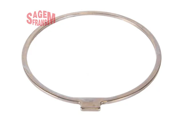SAGEM-210116 (-) (MARKA: SAGEM) (OEM:7700720854)