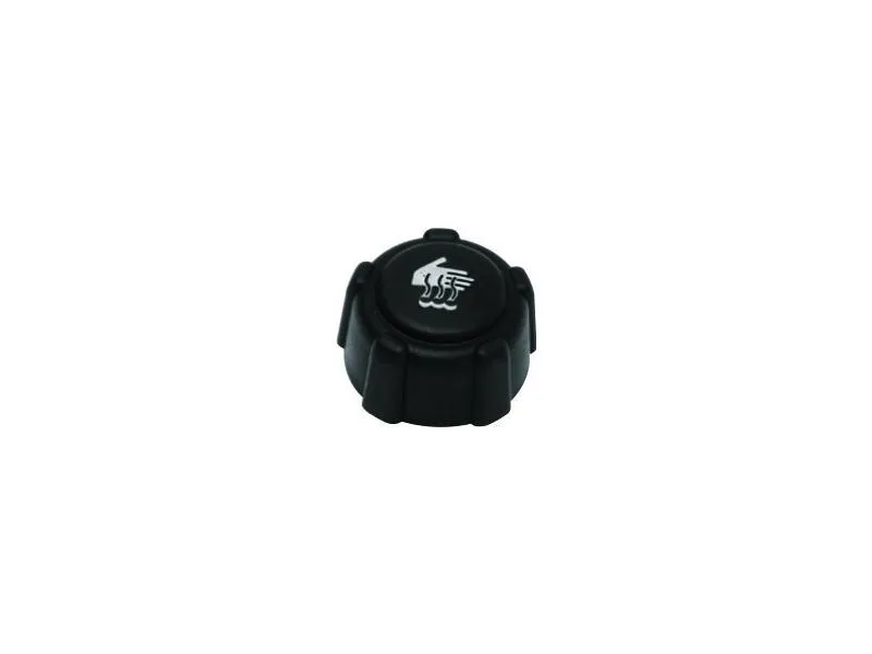 PLEKSAN-3749 (RADYATOR YEDEK SU DEPO KAPAGI CLIO III IV KANGOO MEGANE II III MEGANE II FLUENCE LATITUDE TRAFIC II) (MARKA: PLEKSAN) (OEM:8200048024)