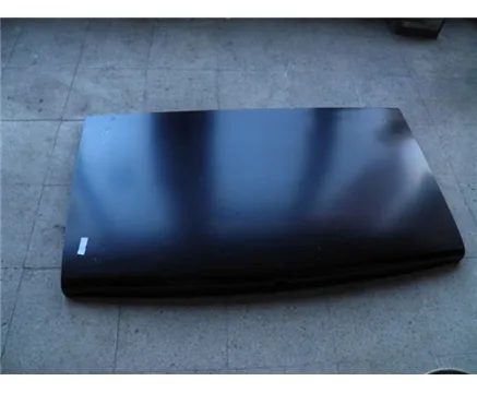 ACR-10060 (-) (MARKA: ACAR) (OEM:7701536871)