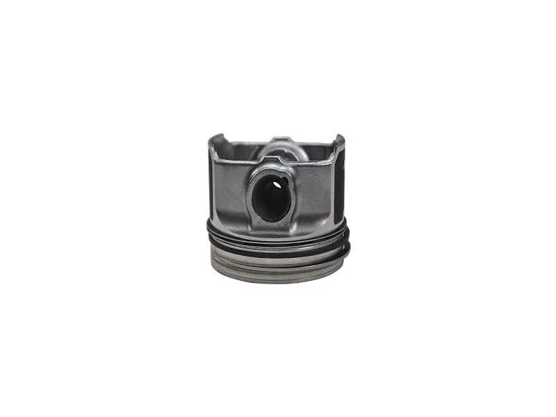 MAHLE-304202 (-) (MARKA: MAHLE) (OEM:MAHLE-304202)