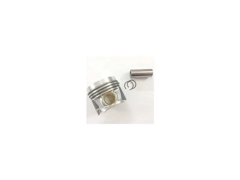 MAHLE-028PI00100000 (-) (MARKA: MAHLE) (OEM:MAHLE-028PI00100000)