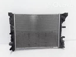 Zoe Motor Su Radyatörü 2020-> 214104950R -Renault Mais