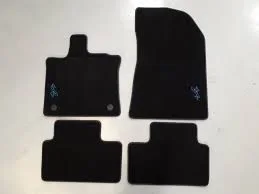 Paspas captur2 faz2 halı