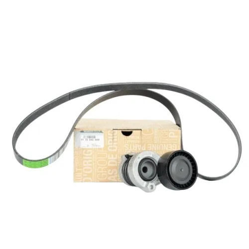 Renault/Dacia Duster II - Megane IV 1.5 dCi K9K Alternatör V Kayış Seti (AdBlue)