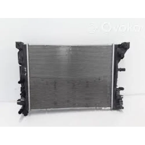 Zoe Motor Su Radyatörü 2020-> 214104950R -Renault Mais