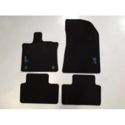Paspas captur2 faz2 halı