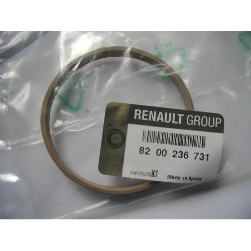 Megane 2-II Gaz Enjeksiyon Kelebek Boğaz Oringi 1.6 16V K4M 8200236731 -Renault Mais